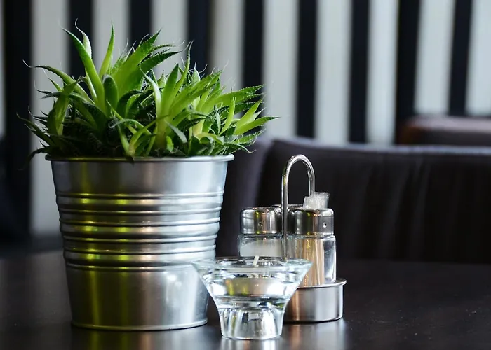 酒店 Dormero Beho Zugspitze 比伯维尔